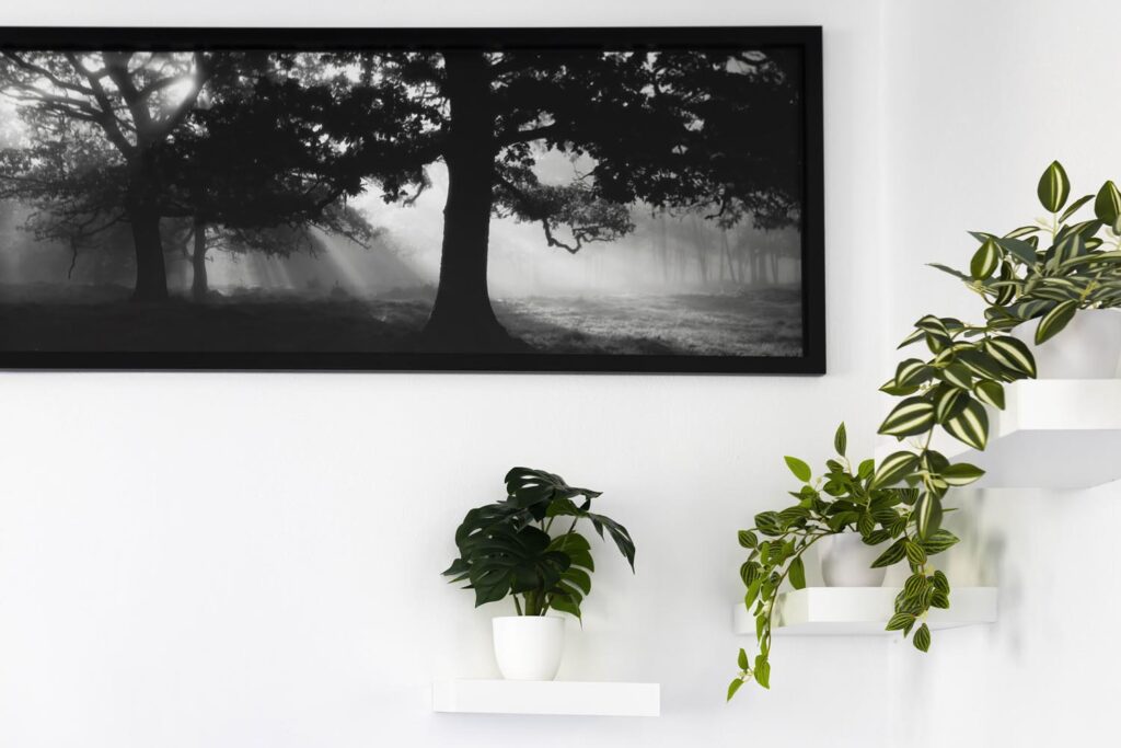 tza-wunsiedel-7 Tza wunsiedel